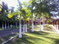 /album/unidade-de-tratamento-cerdeq-peruibe/b34c6b2e4a78-jpg/